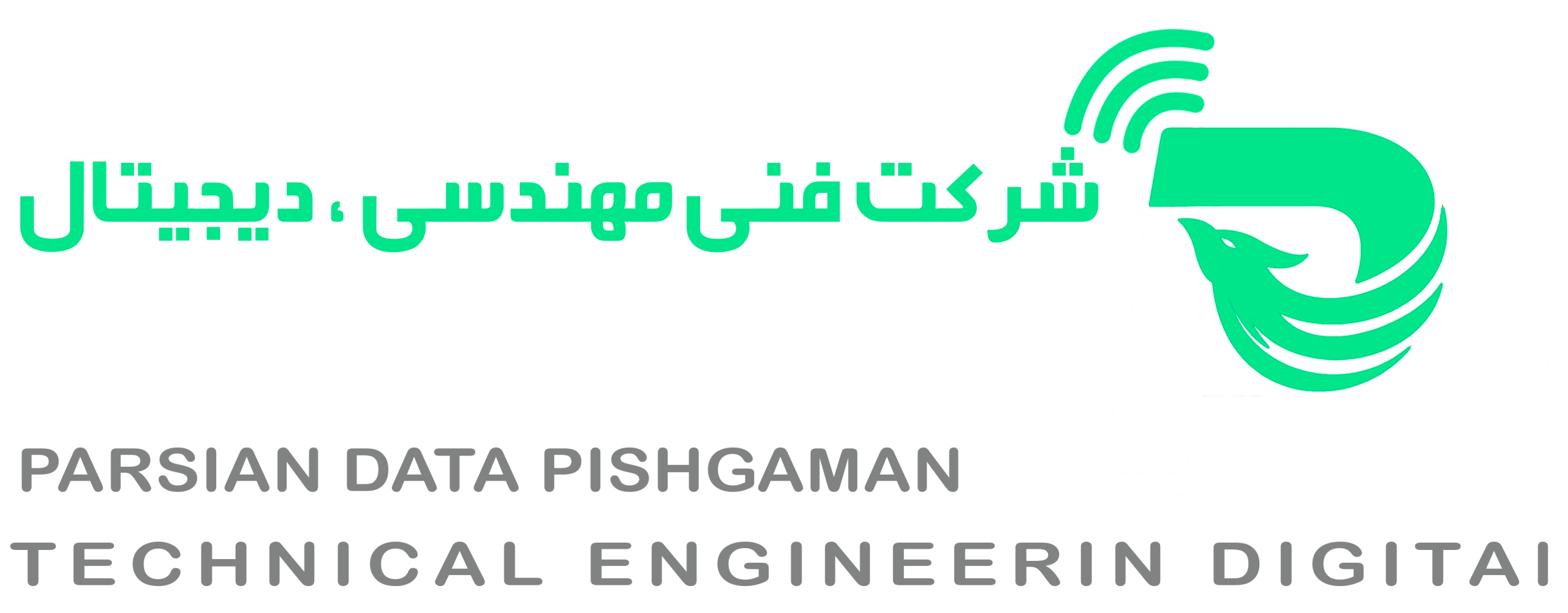 شرکت فنی مهندسی پیشگامان داده پارسیان